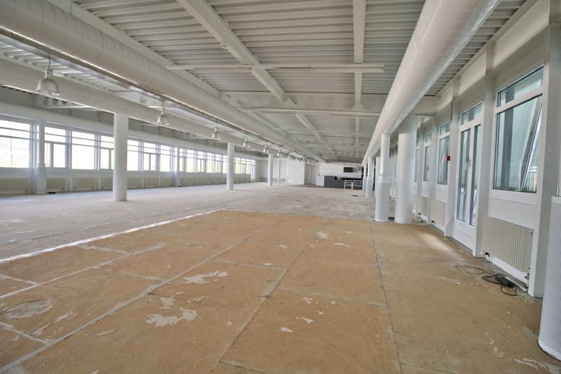 large open space, wide hallway, white walls and ceiling, windows, lamps, white tiles