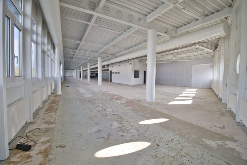 Empty room, concrete floor, white walls, large windows, metal beams, radiators, ceiling lights