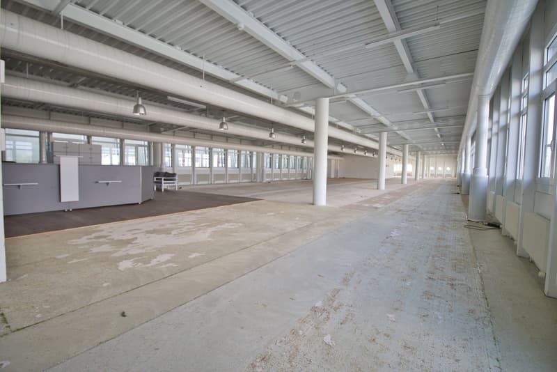 Empty building with high ceiling, large windows, concrete floor, metal beams, and pipes