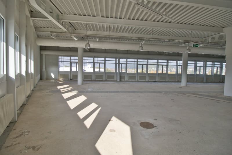 large open space, white walls, large windows, metal beams, concrete floor