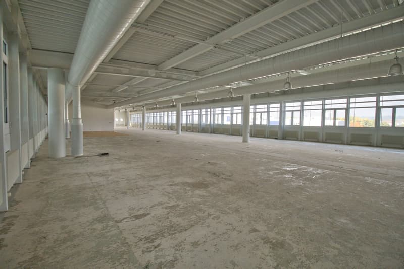 Empty warehouse with white walls, concrete floor, large windows, metal beams, and pipes