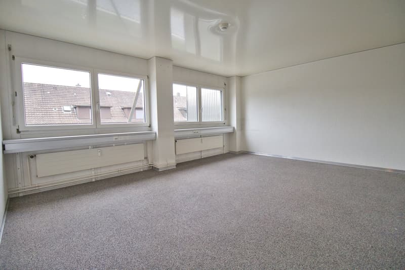 empty room, white walls, gray carpet, large windows, white radiators