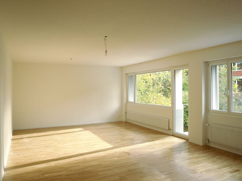 Appartement en ville de Berne à proximité de l'hôpital Inselspital et de la gare (5)