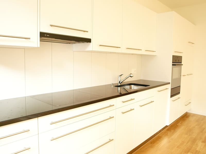 Appartement en ville de Berne à proximité de l'hôpital Inselspital et de la gare (4)