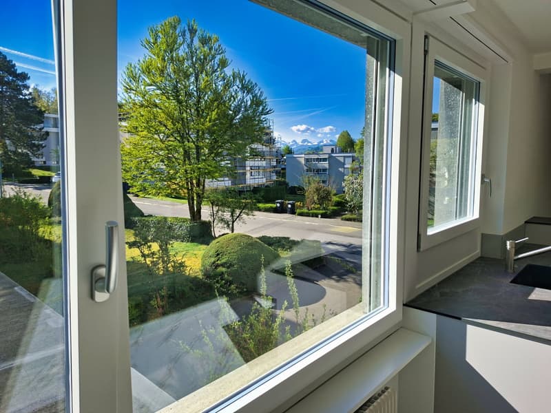 large window, view of a tree and a road, white walls, white radiator, sink with faucet
