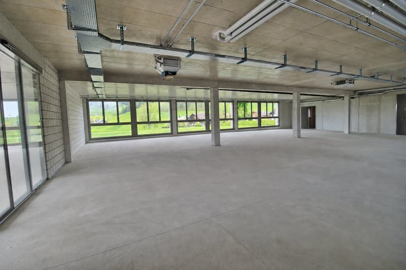 Espaces commerciaux et de détail modernes avec des options d'utilisation flexibles et des divisions (3)