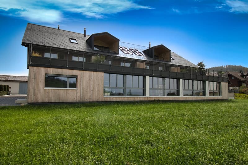 Espaces commerciaux et de détail modernes avec des options d'utilisation flexibles et des divisions (11)