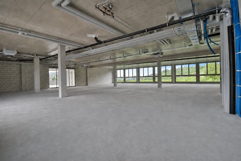 Espaces commerciaux et de détail modernes avec des options d'utilisation flexibles et des divisions (1)