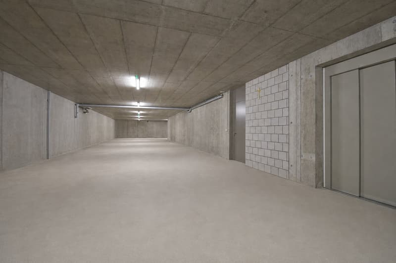 Espaces commerciaux et de détail modernes avec des options d'utilisation flexibles et des divisions (8)