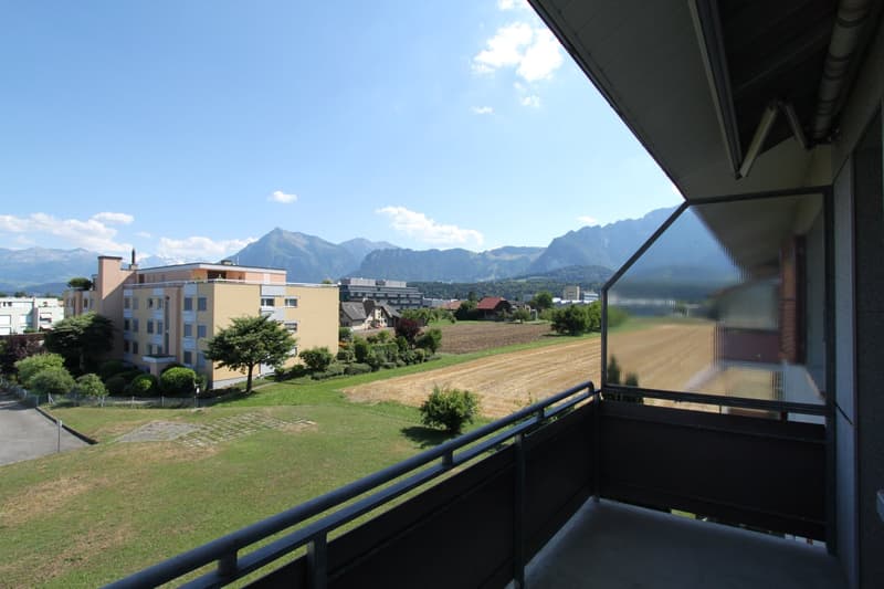 Vivre avec une vue alpine de rêve (8)