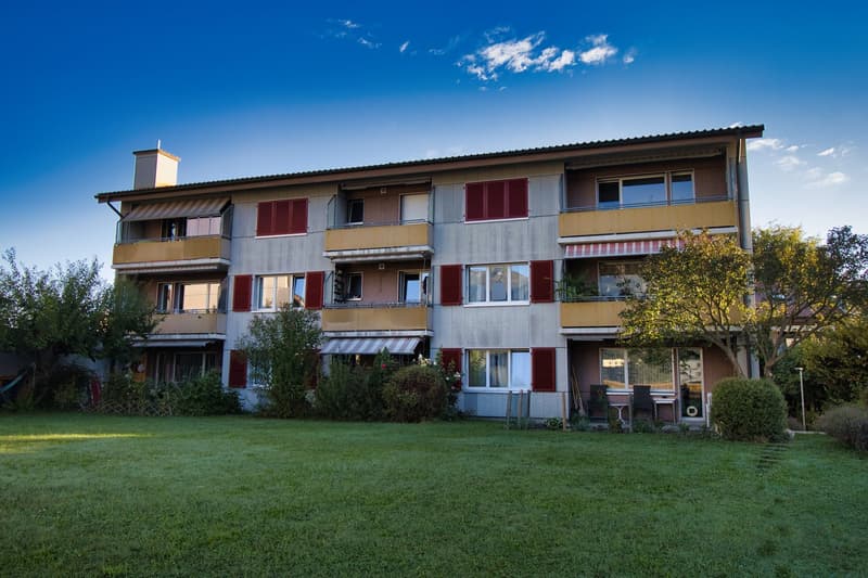 Vivre avec une vue alpine de rêve (7)