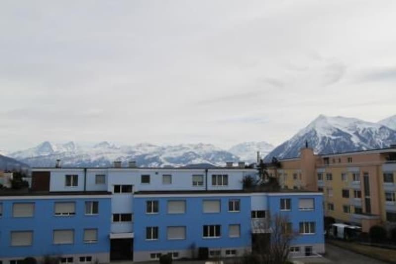 Vivre avec une vue alpine de rêve (11)