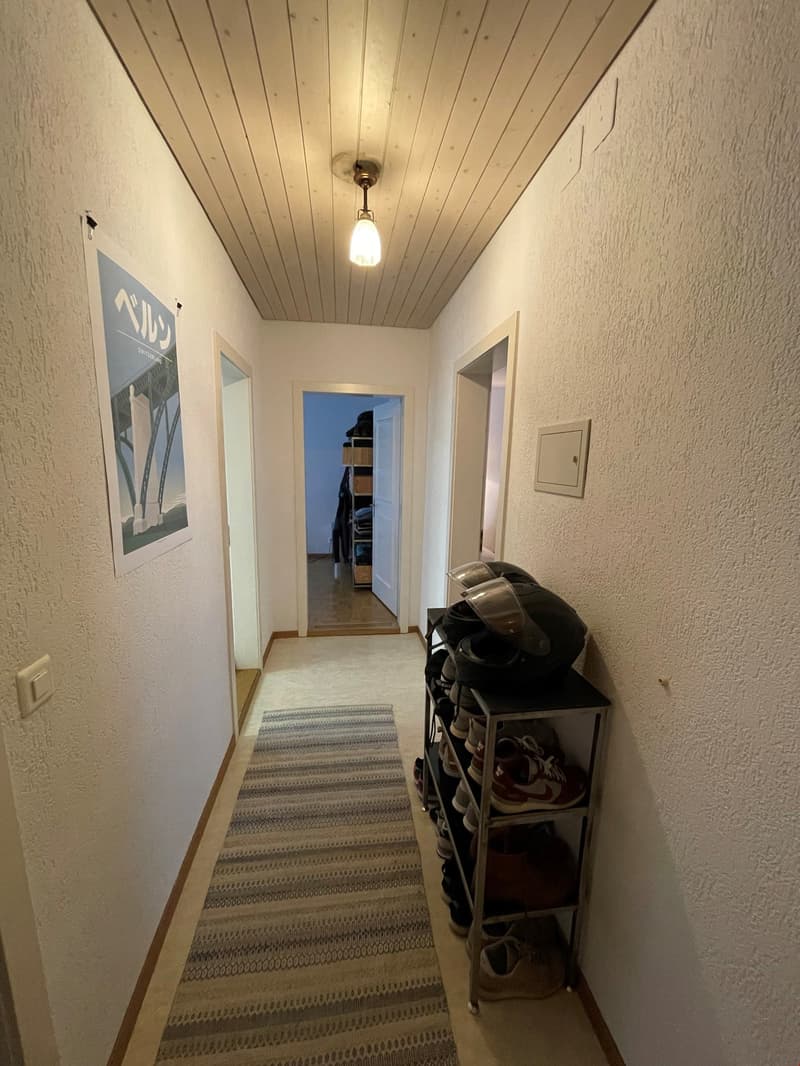 Nel popolare quartiere di Breitenrain! (5)
