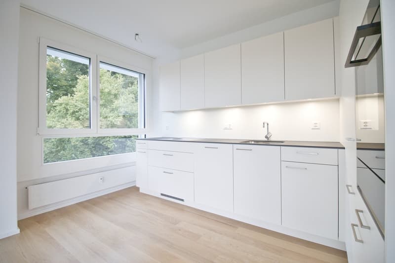 3½ room apartment with large balcony in the popular Steinhölzli / Lerbermatt quarter (2)