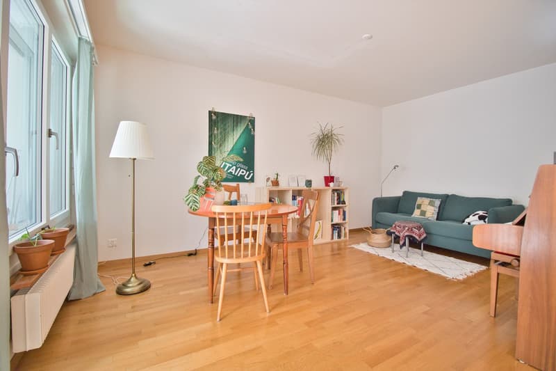 Heimelige 2.5 Zimmerwohnung im Breitsch mit direktem Gartenzugang (4)