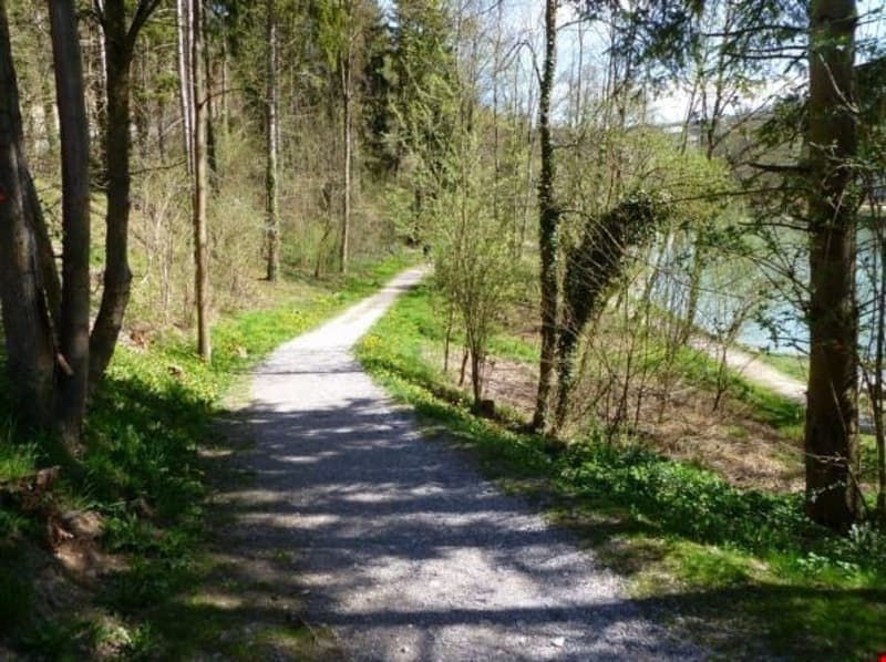 Living in the green - close to the Aare! (10)