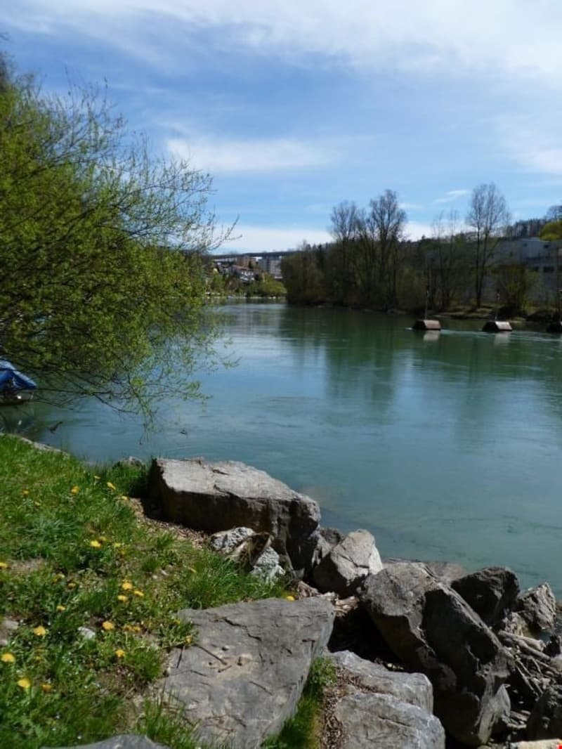 Living in the green - close to the Aare! (9)