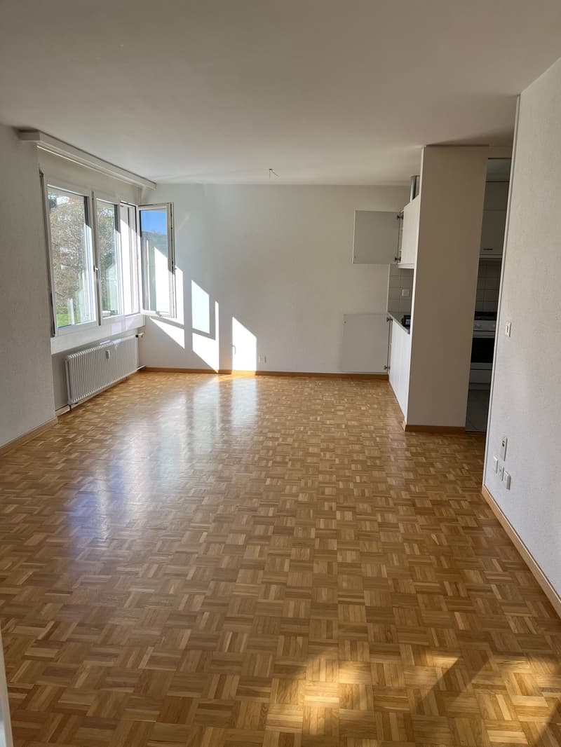 Bel appartement 3.5 pièces à Bremgarten ! (3)
