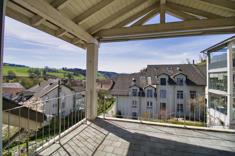 Appartamento luminoso e grande di 4,5 locali con un balcone bellissimo (14)