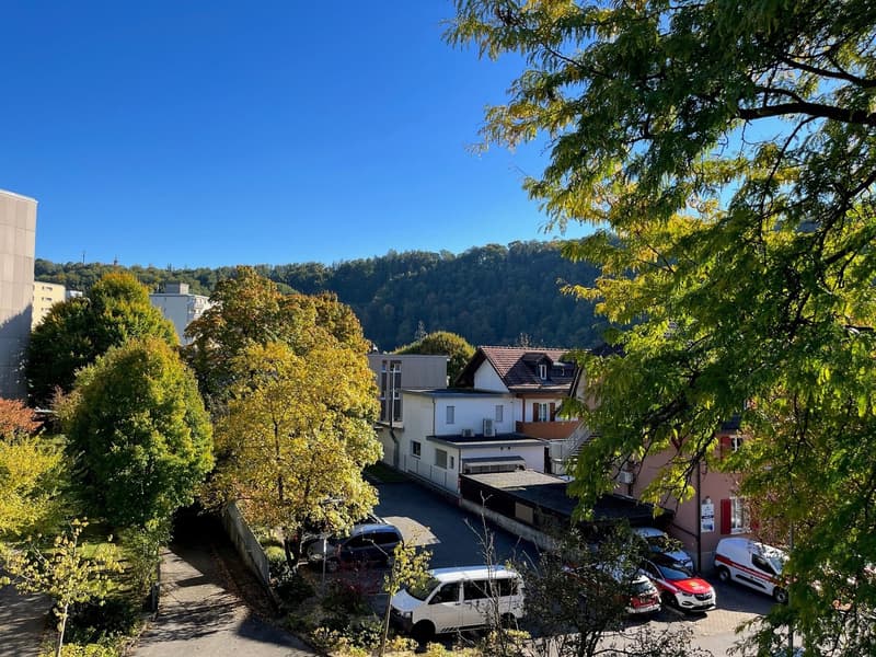 Spacious 2.5-room apartment with a great view! (11)