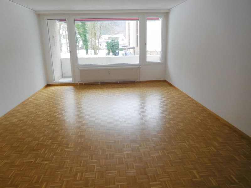 Spacious 2.5-room apartment with a great view! (3)