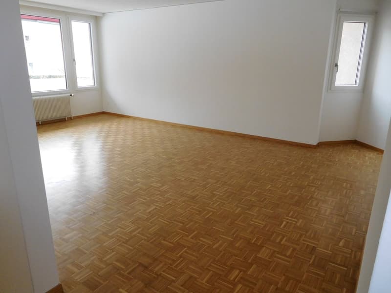 Spacious 2.5-room apartment with a great view! (4)