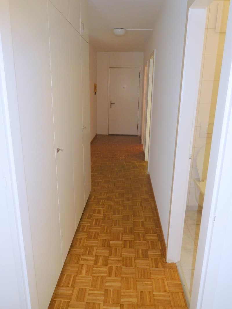 Spacious 2.5-room apartment with a great view! (8)