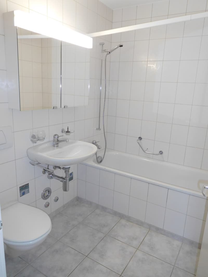 Spacious 2.5-room apartment with a great view! (9)