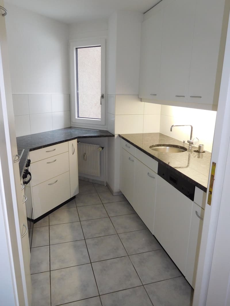 Spacious 2.5-room apartment with a great view! (5)