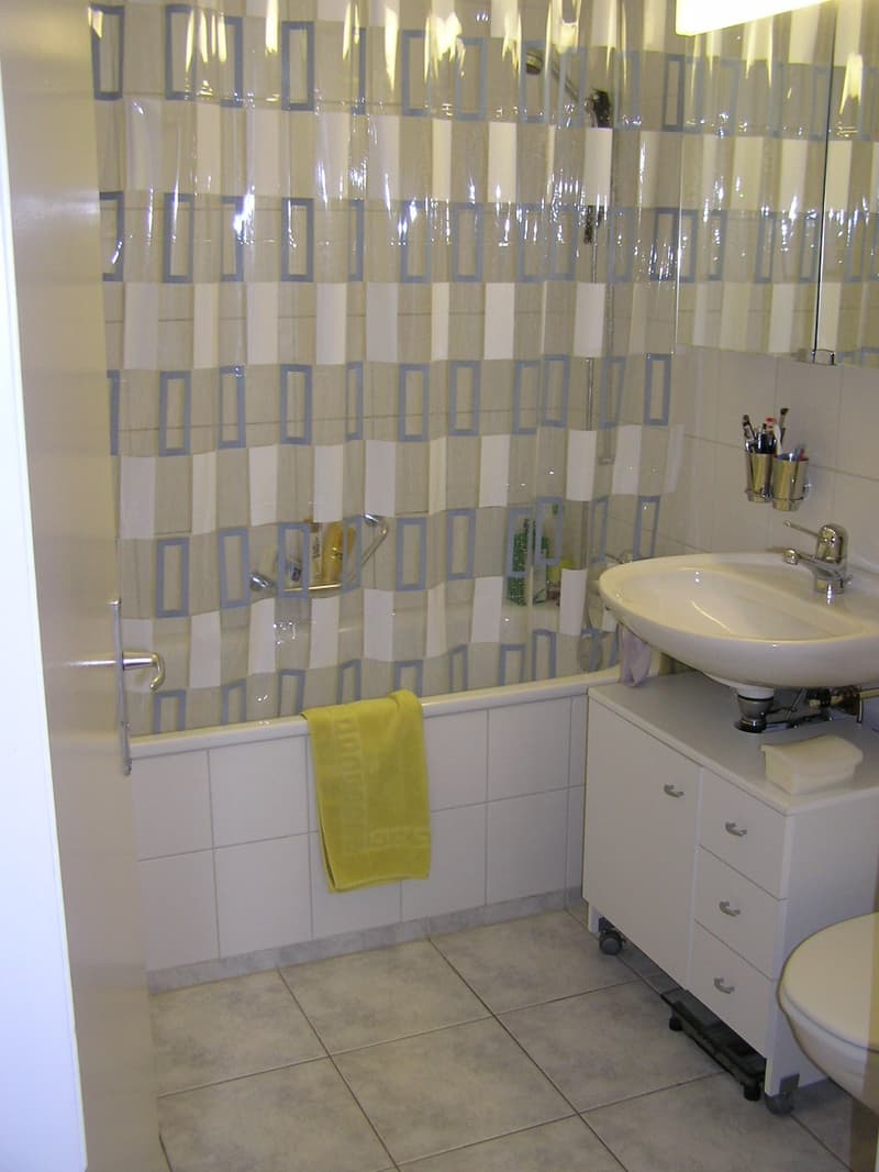 Schöne 3.5-Zimmerwohnung in Bremgarten! (6)