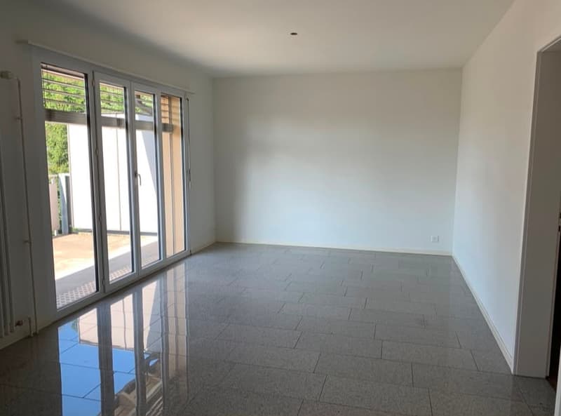 Bello appartamento di 3 camere con balcone (5)