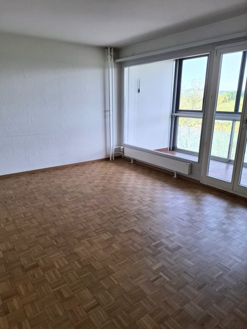 Grosszügiger Grundriss / Zentrale Lage (Typ C, Nr. 94) (4)