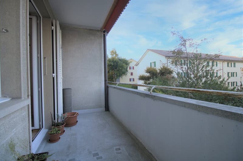 Bern-Bümpliz / appartement 3 pièces spacieux (7)