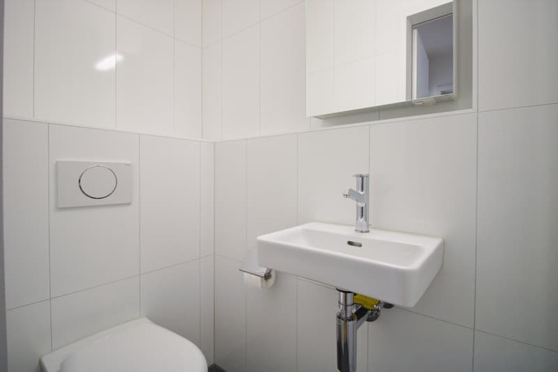 Grosszüge 4.5-Zimmerwohnung in familienfreundlicher Überbauung (3)