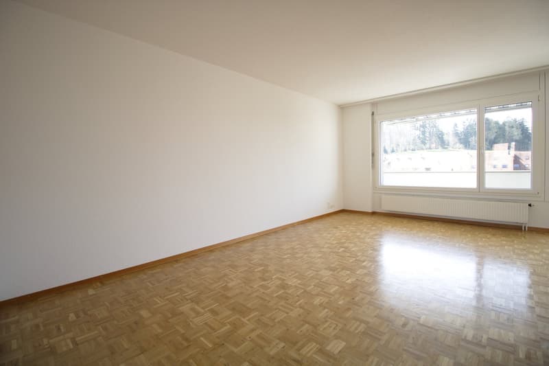 sanierte, helle Mietwohnung mit Top-Ausbau! (8)