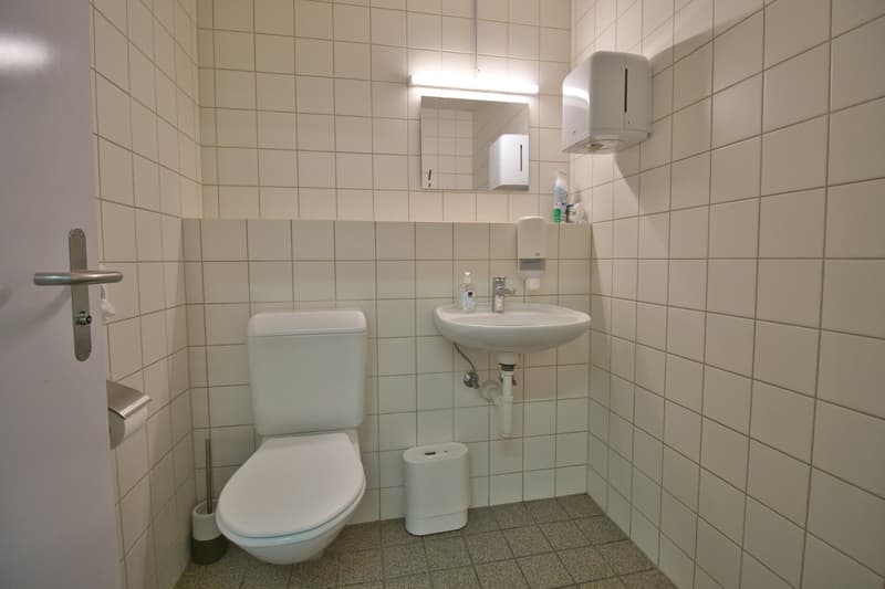 small bathroom with toilet, sink, and mirror