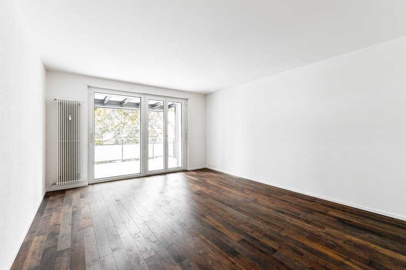 Bijou - in unmittelbarer Nähe zur Berner Altstadt und Aare (3)