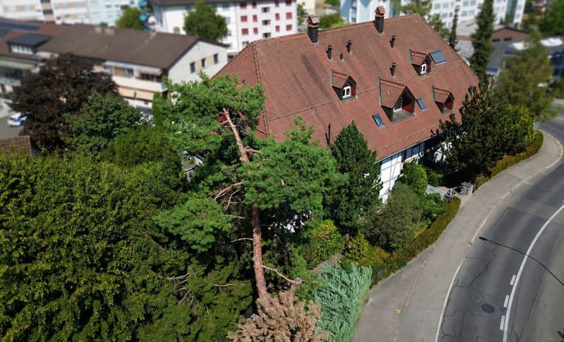 Hochwertige, topmoderne Wohnung im traditionsreichen Landhaus Dennigkofen (21)