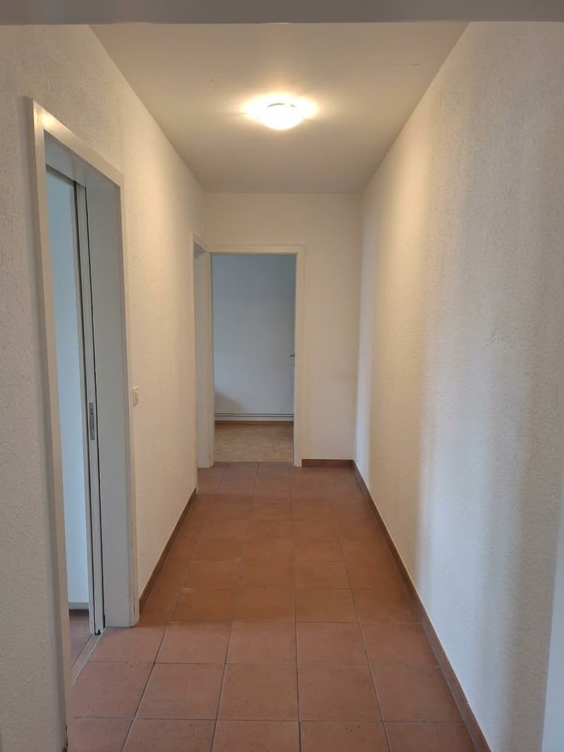 Grosszügige und helle 2½-Zimmerwohnung! (5)