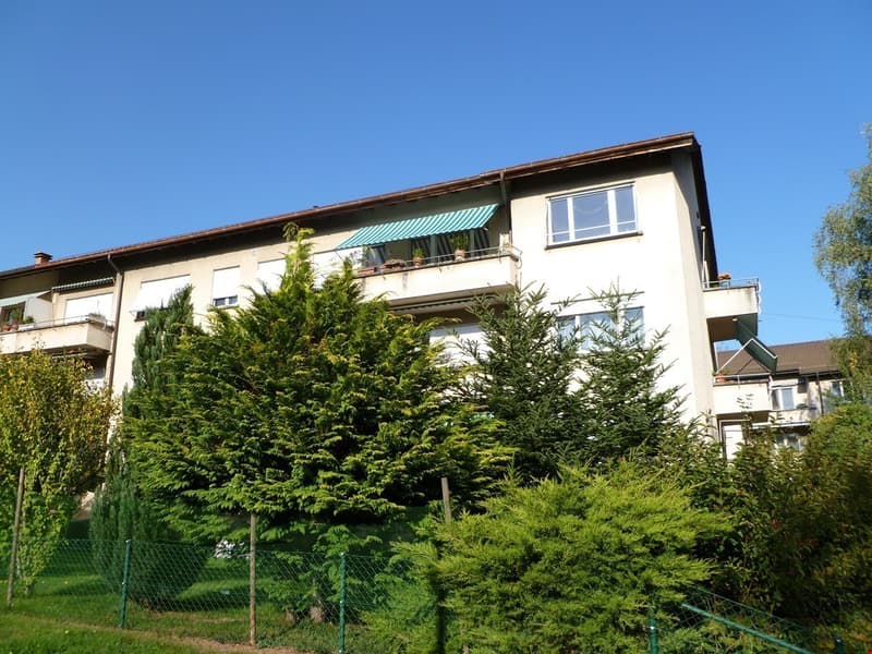 Grosszügige und helle 2½-Zimmerwohnung! (1)