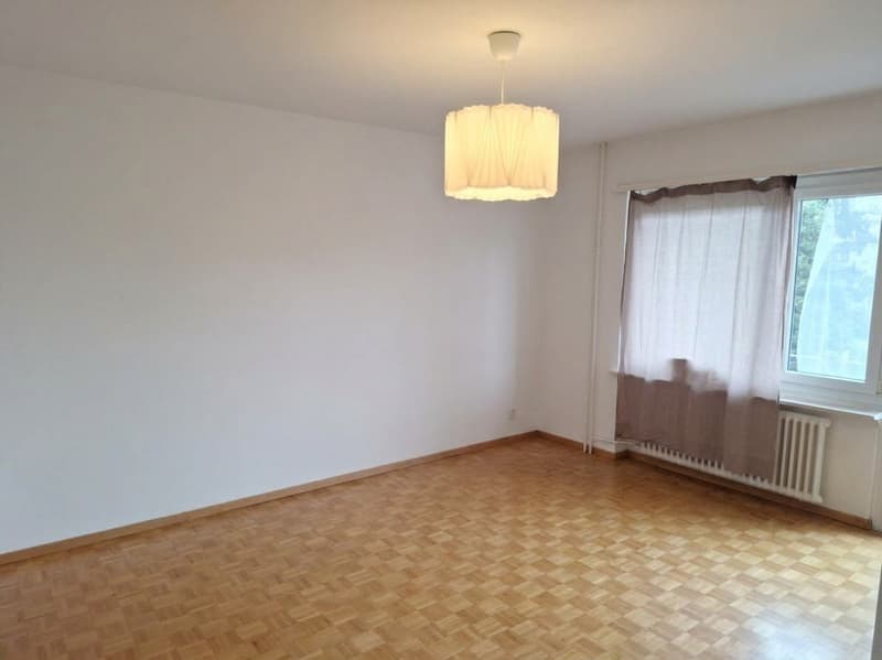 Grosszügige und helle 2½-Zimmerwohnung! (8)