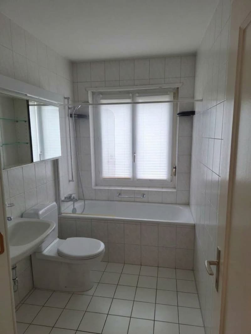Grosszügige und helle 2½-Zimmerwohnung! (3)