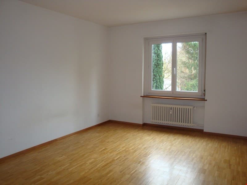 Moderne, schöne 2-Zimmerwohnung (5)