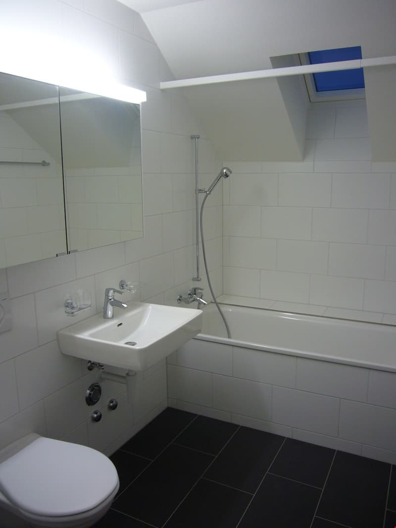 Dachwohnung mit Terrasse - Beste Lage im Breitenrain! (7)