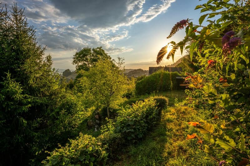 Exklusive Aussichtslage mit Weitblick über die Linthebene bis zum Zürichsee. (3)