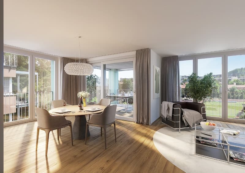 Wohnen mit Weitblick  Moderne Attikawohnung an bester Lage in Oerlikon (3)