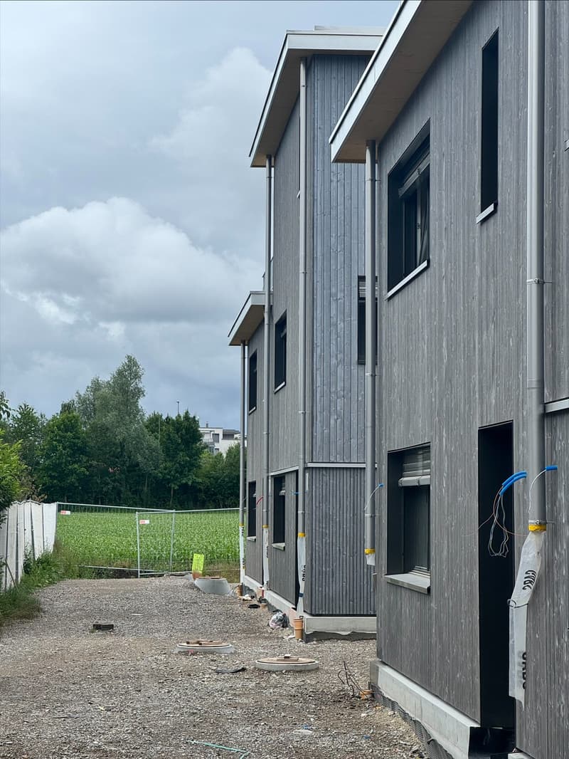 Stylish living with private garden in Volketswil (9)