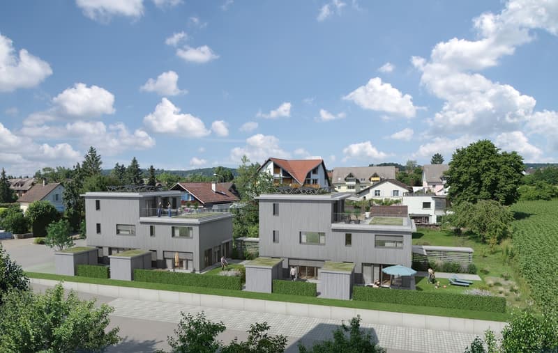 Lichtdurchfluteter 5.5-Zimmer-Hausteil mit grosser Terrasse (3)