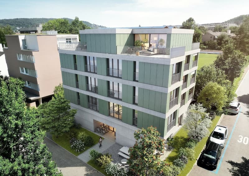 Hoch über den Dächern  stilvolle Attikawohnung in Zürich-Oerlikon (2)