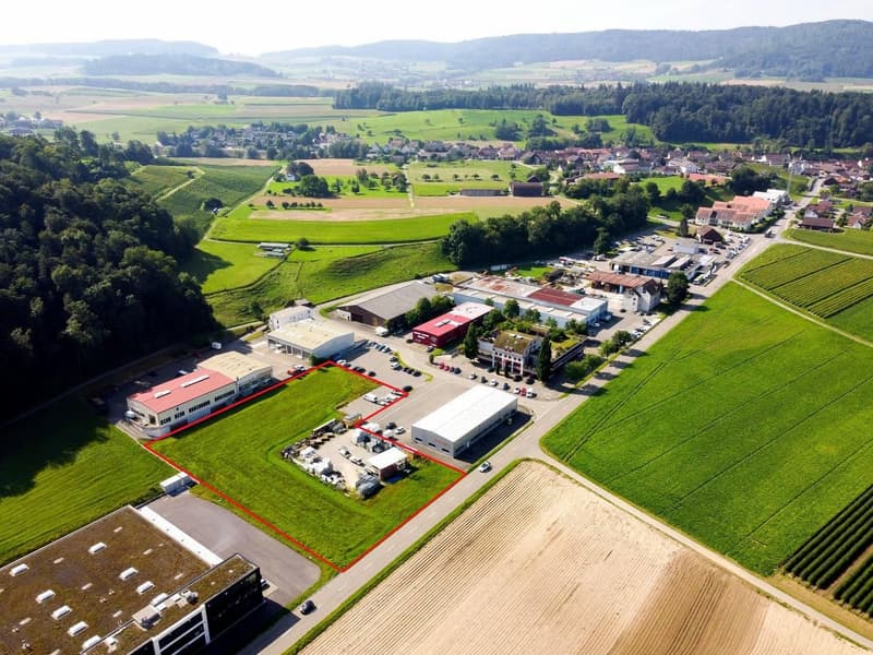 Surface polyvalente - Votre nouveau domaine de réussite (300 - 7685m2) (1)